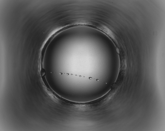 X0000087311132200704201205