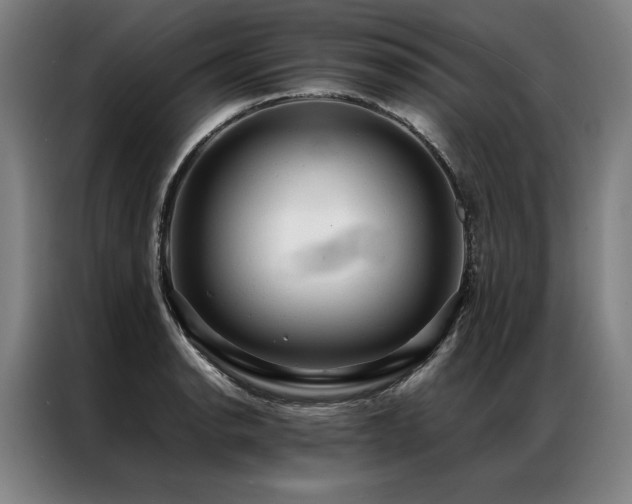 X0000087311134200704201205
