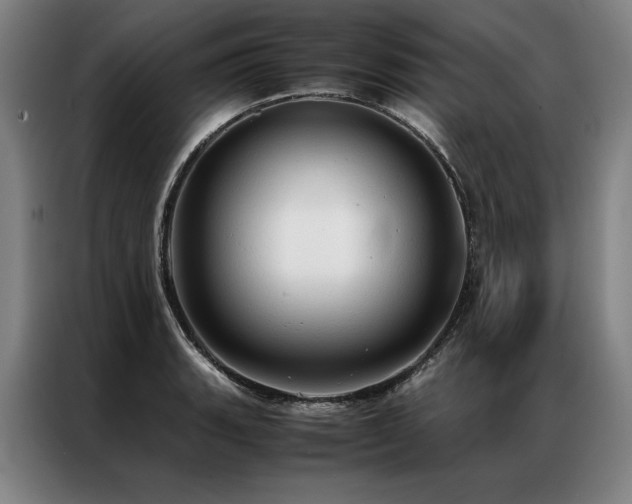 X0000087311135200704201205