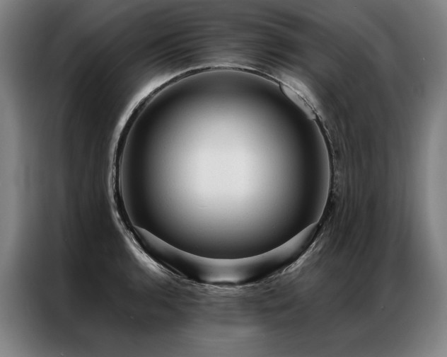 X0000087311136200704201205