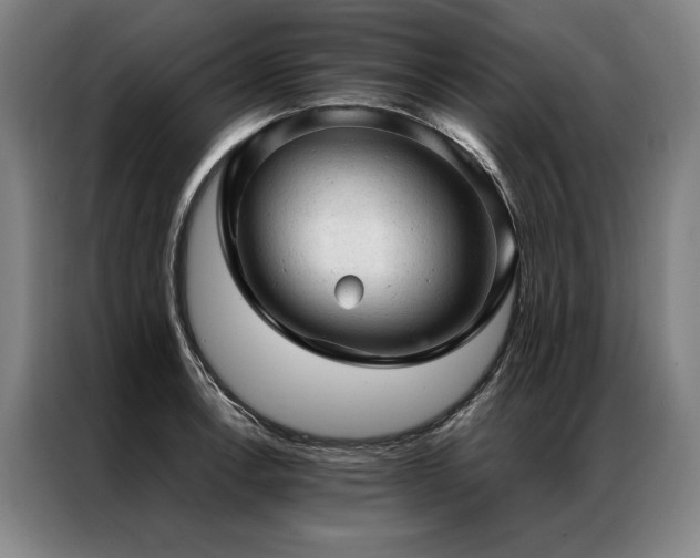 X0000087311138200704201205