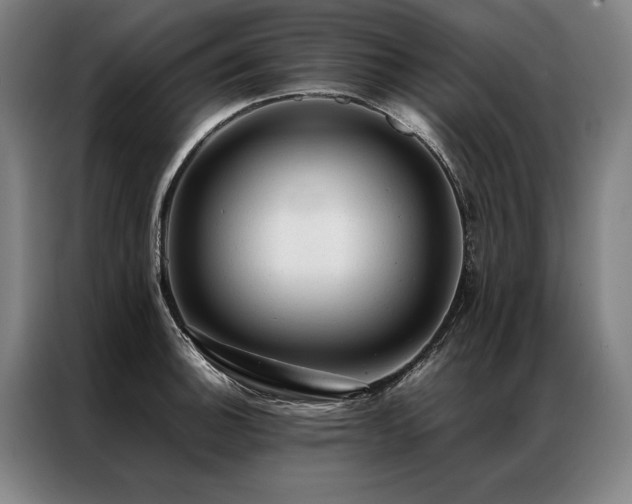 X0000087311140200704201205