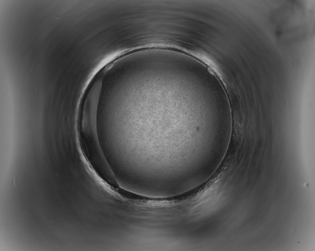 X0000087311142200704201205