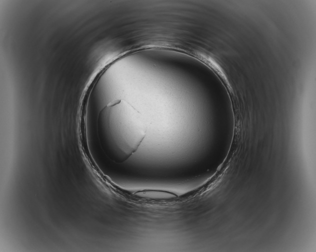 X0000087311146200704201206