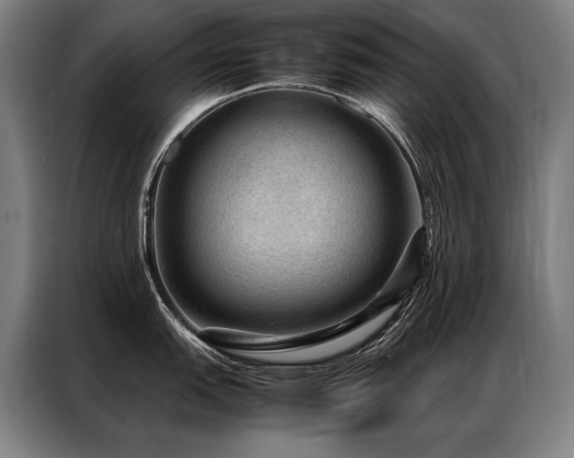 X0000087311151200704201206