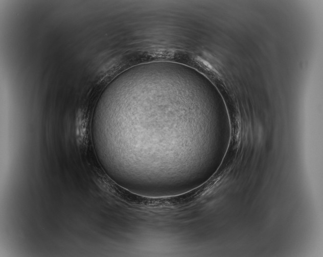 X0000087311154200704201205