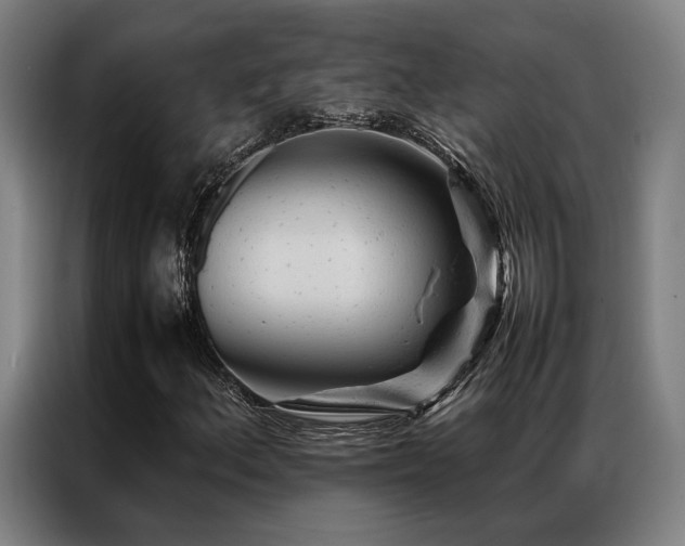 X0000087311156200704201205