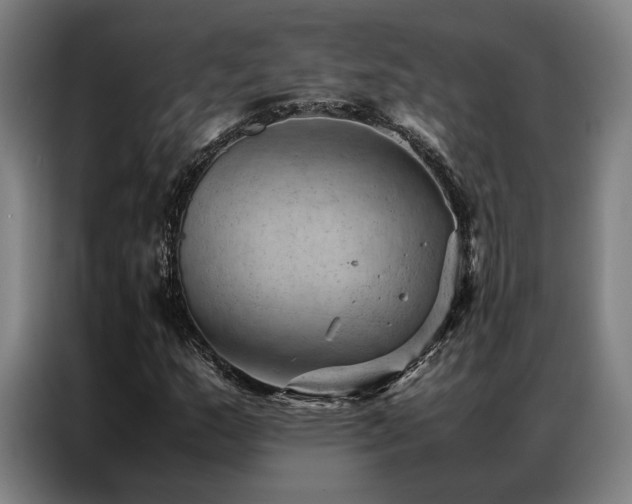 X0000087311159200704201205