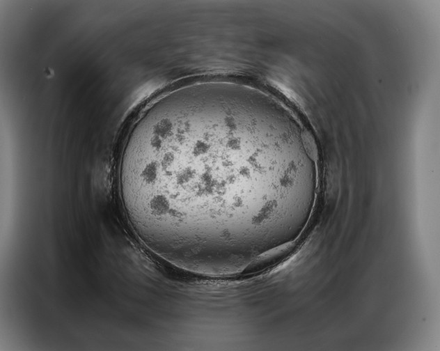 X0000087311163200704201205
