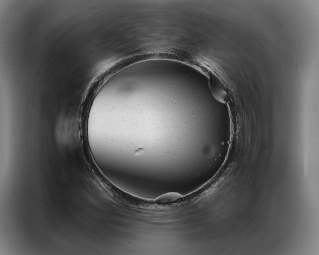 X0000087311164200704201205