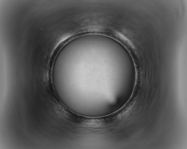 X0000087311166200704201205