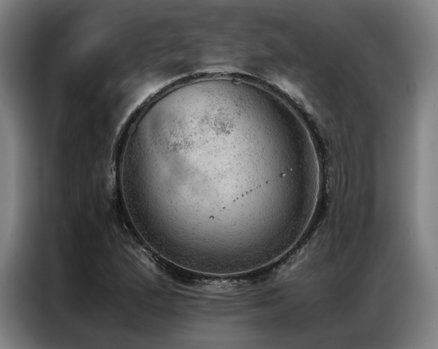 X0000087311167200704201205