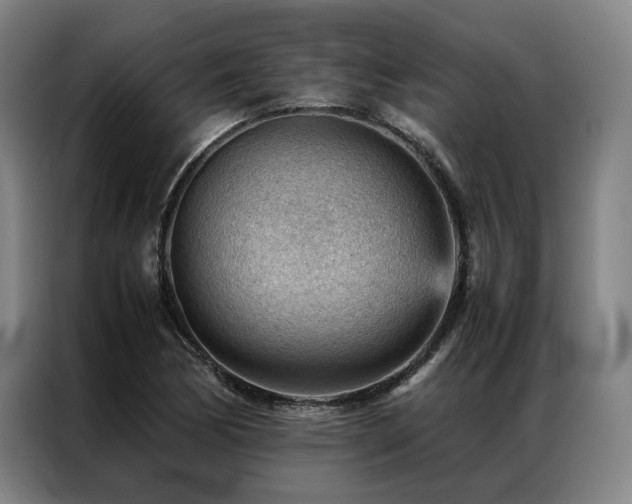 X0000087311170200704201205