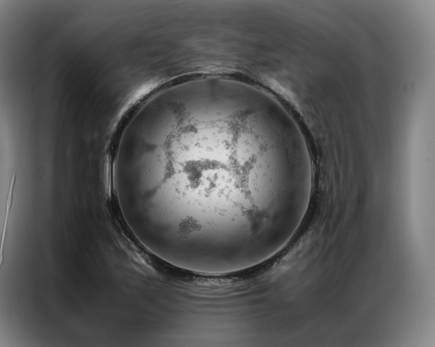 X0000087311171200704201205