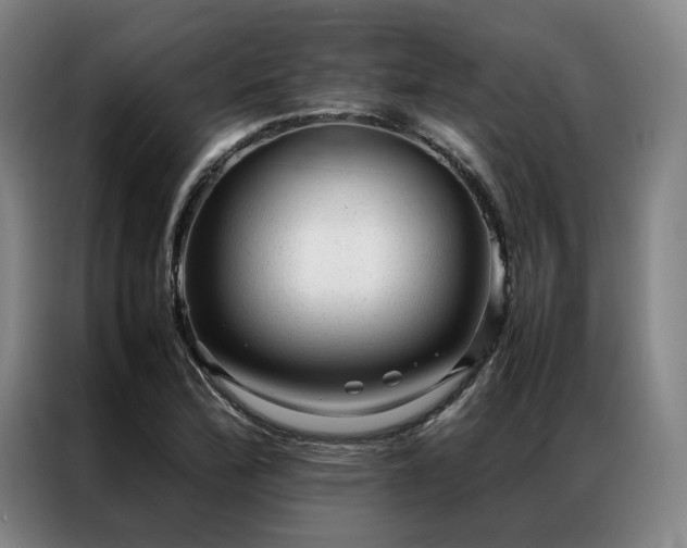 X0000087311172200704201205