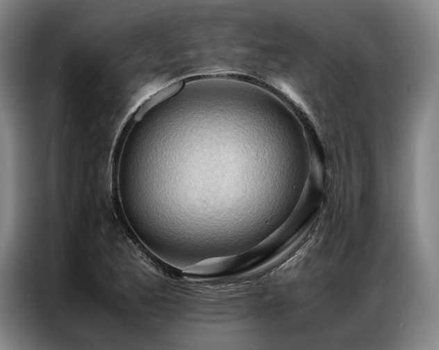 X0000087311173200704201205