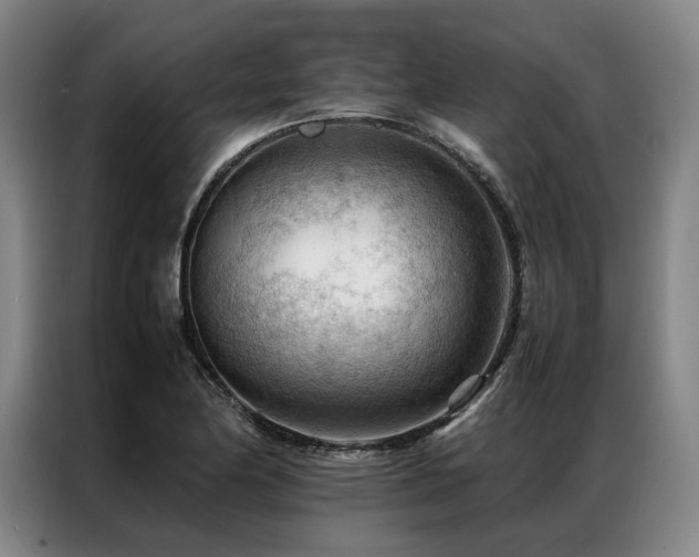 X0000087311174200704201205