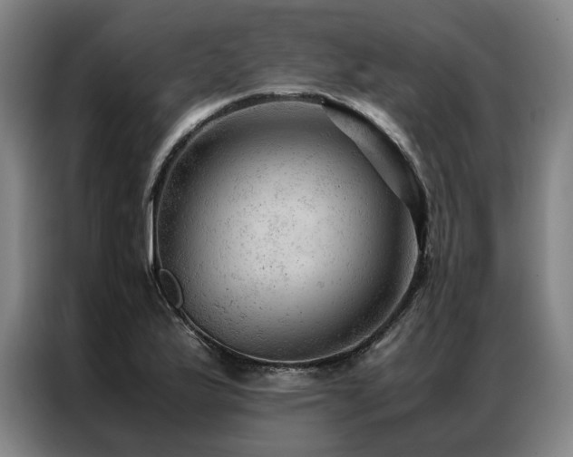 X0000087311175200704201205