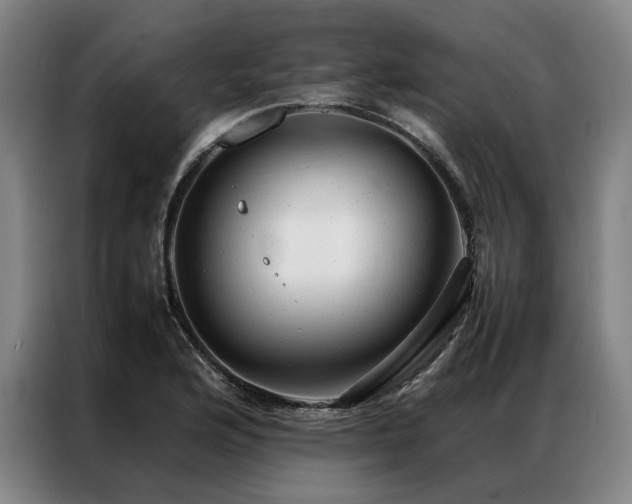 X0000087311176200704201205