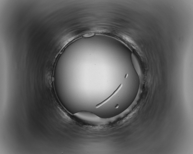 X0000087311177200704201205