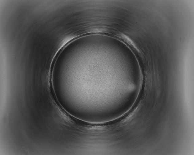 X0000087311178200704201205