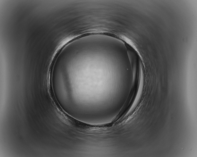 X0000087311179200704201205