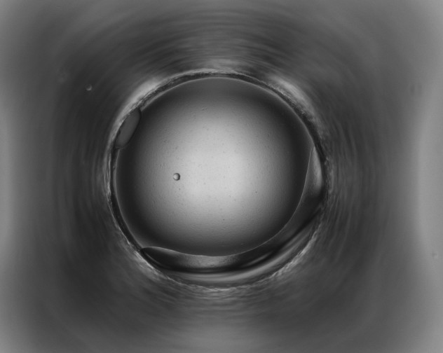 X0000087311180200704201205