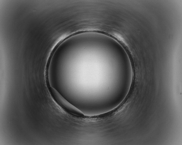 X0000087311181200704201205