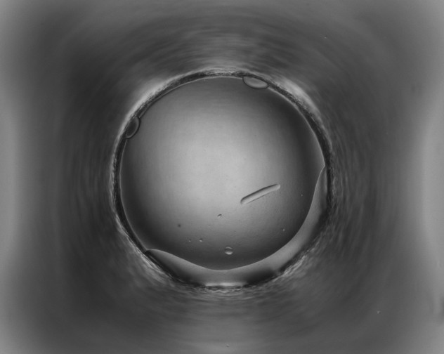 X0000087311183200704201205