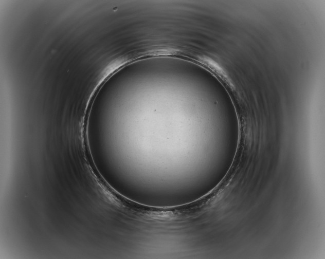 X0000087311186200704201205