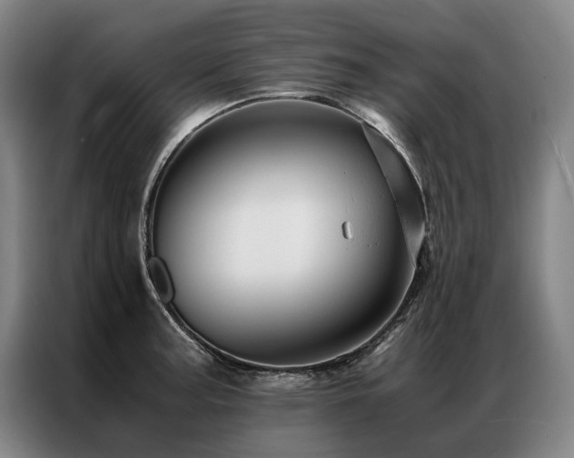 X0000087311187200704201205