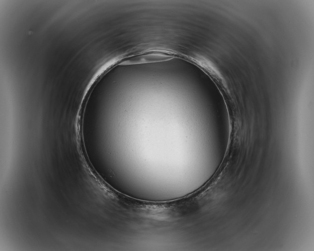 X0000087311190200704201205