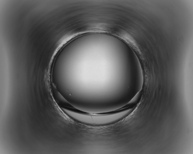 X0000087311192200704201205