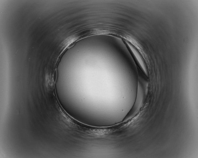 X0000087311193200704201205
