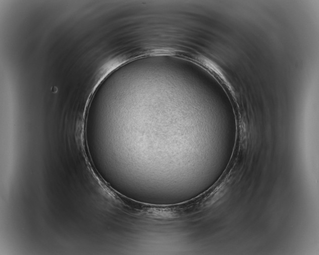 X0000087311194200704201205