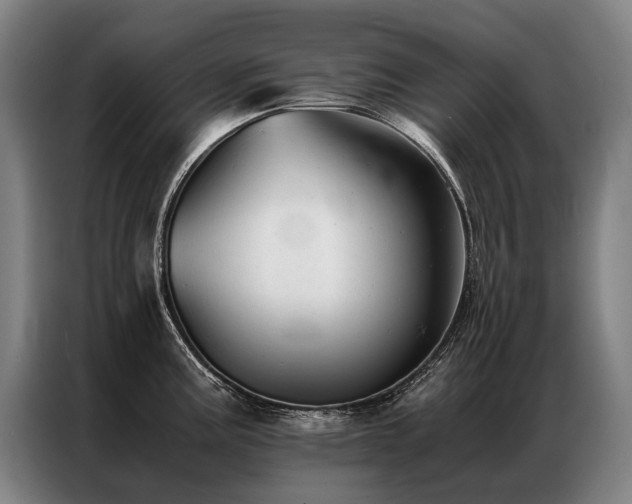 X0000087311195200704201205