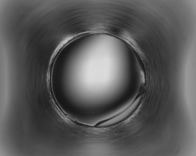 X0000087311196200704201205