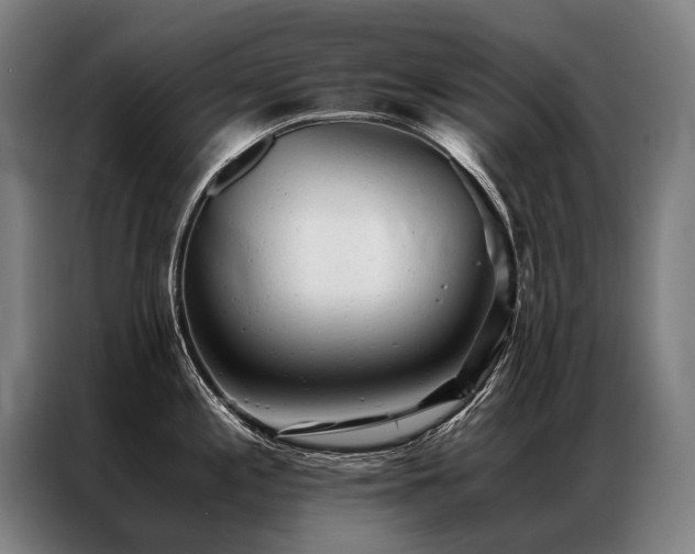 X0000087311197200704201205
