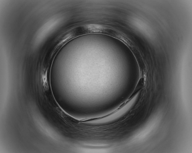X0000087311198200704201205