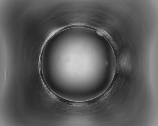 X0000087311199200704201205