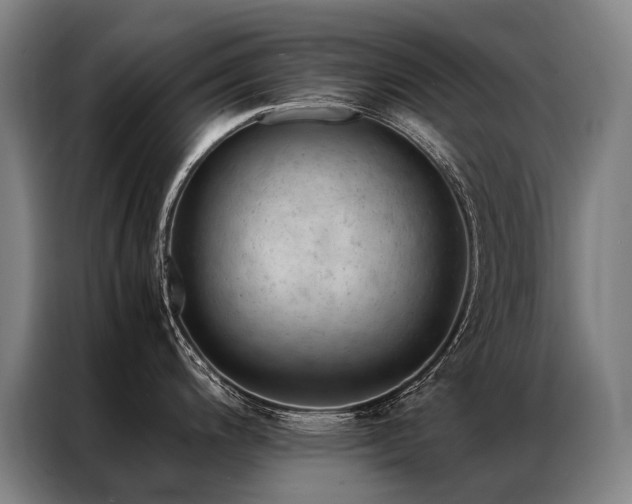 X0000087311200200704201204