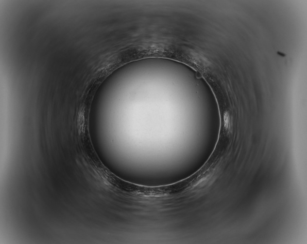 X0000087311203200704201204