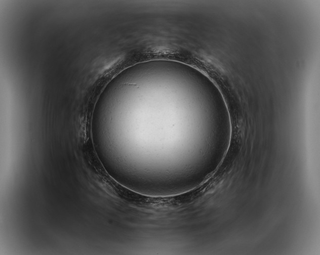 X0000087311205200704201204
