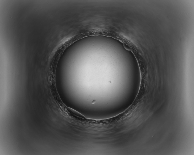 X0000087311207200704201204