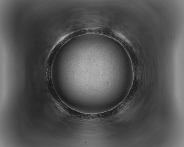 X0000087311208200704201204
