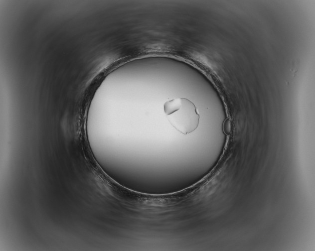 X0000087311211200704201204
