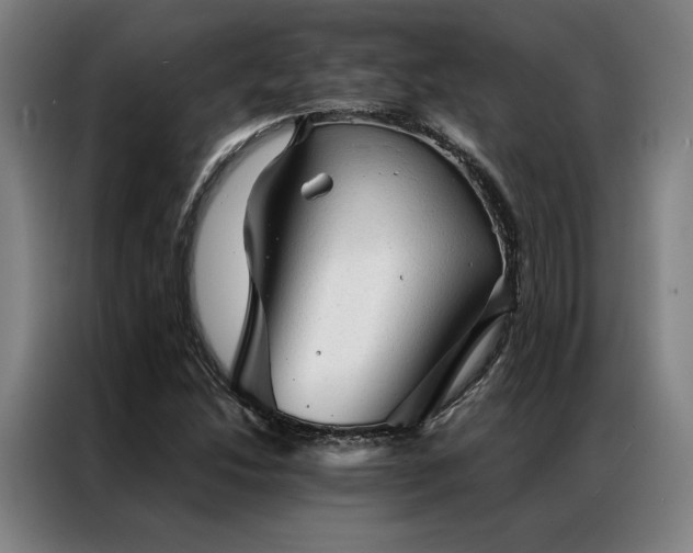 X0000087311214200704201204
