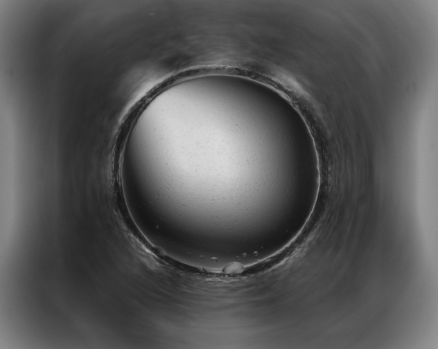 X0000087311216200704201204