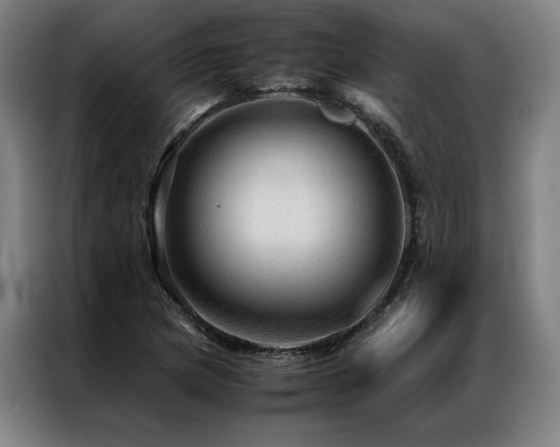 X0000087311217200704201204