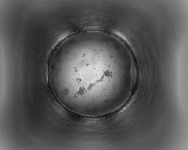 X0000087311219200704201204
